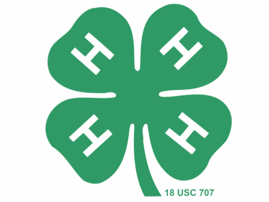 Story County 4H Logo